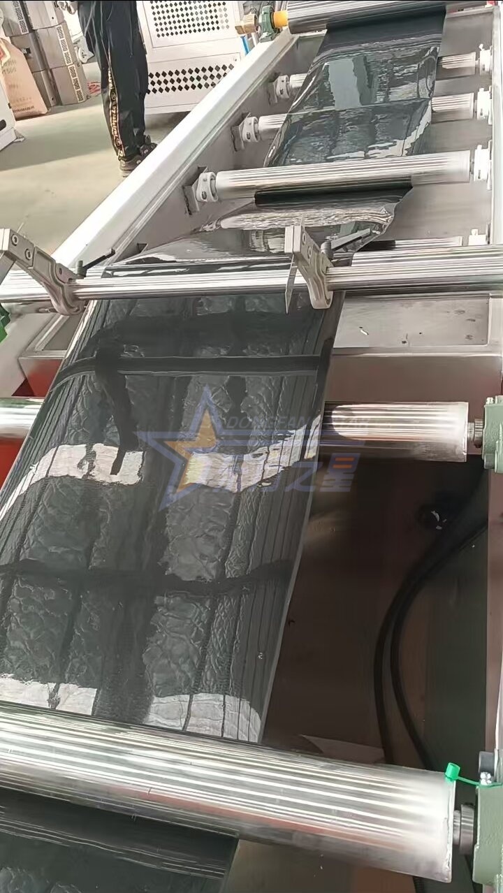 Müştəri, Saytda Sınaq Sınaqları üçün Qingdao EastStar fabrikində PP / PS Fidan Tepsisi Saxlama Xərcləri